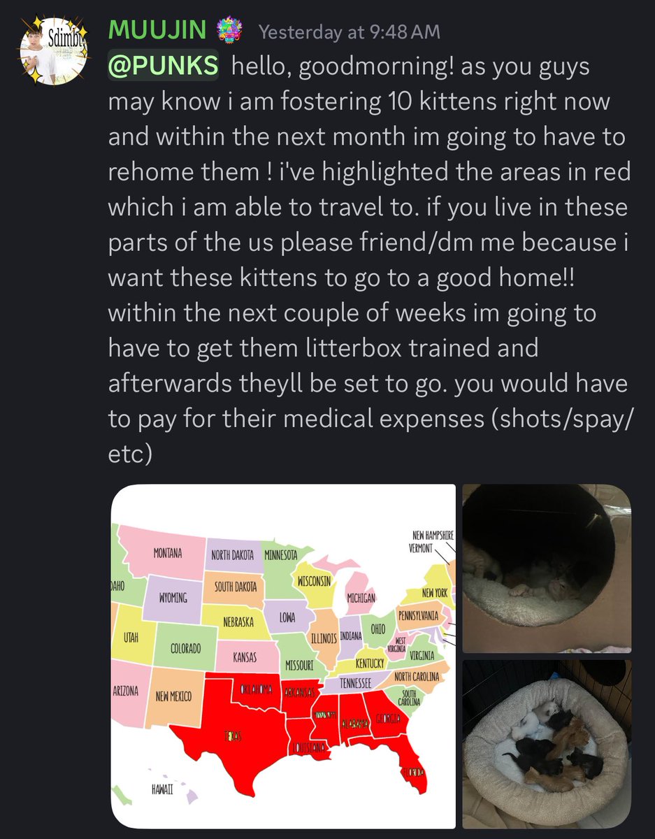 muujeans's tweet photo. letting u guys know before I post this on my main, if ur interested in adopting a kitten dm me!!!! https://t.co/mvgS7IOT3f