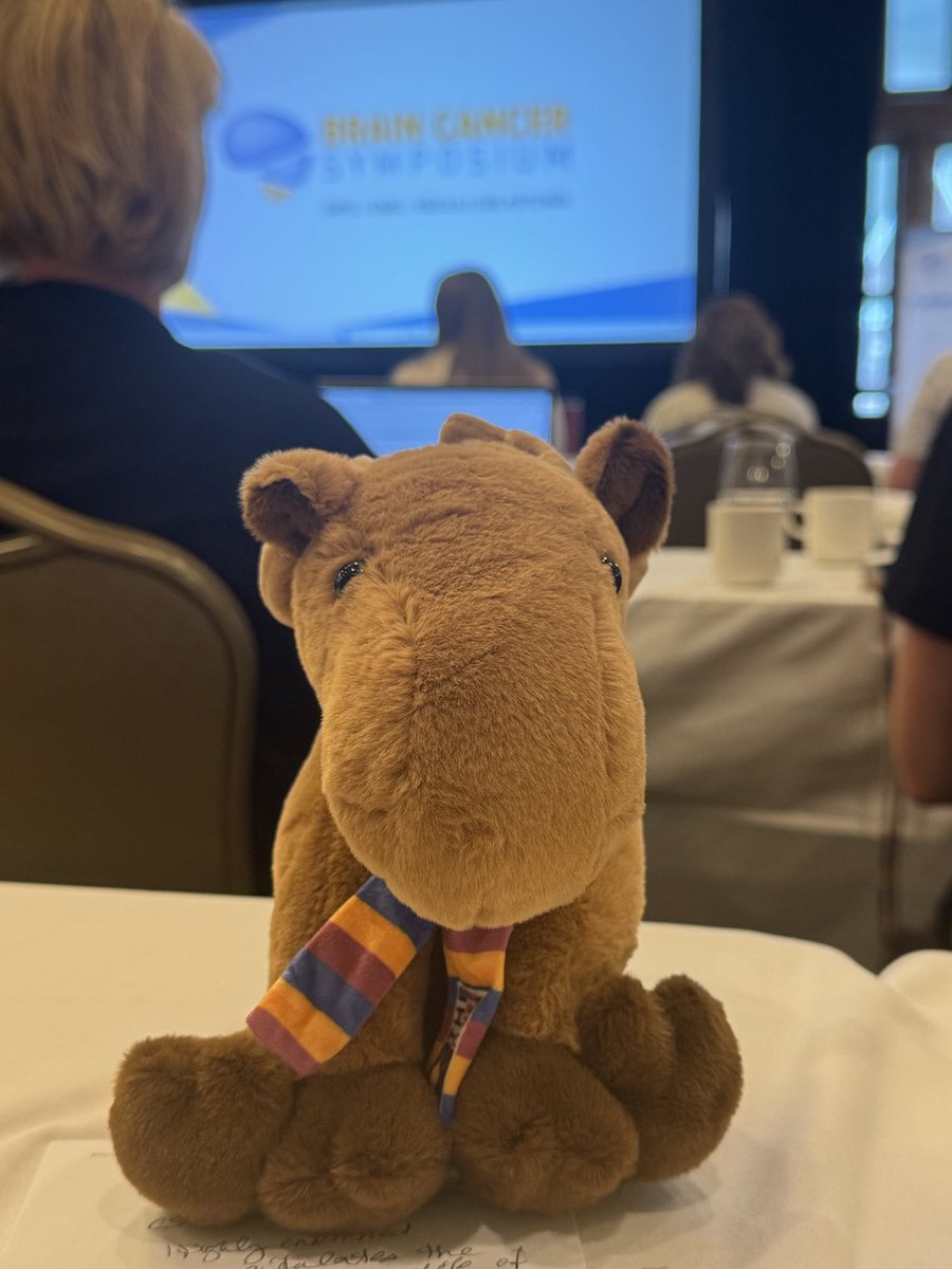moert001's tweet photo. At the Brain Cancer Symposium in Canada, sharing data from OX2 Therapeutics. Thank you ⁦@DIPGCollab⁩ https://t.co/XLpRWGcTqa