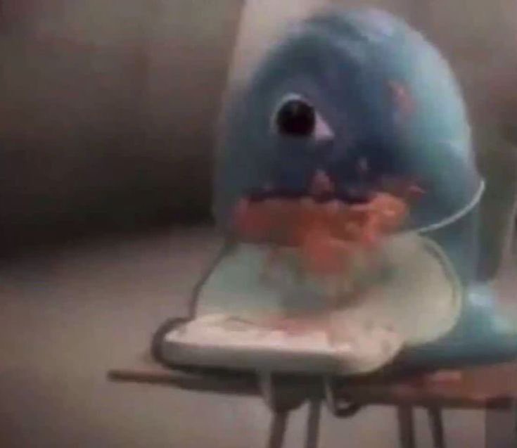 0n1fever2's tweet image. I wish I loved learning but i am really stupid wah