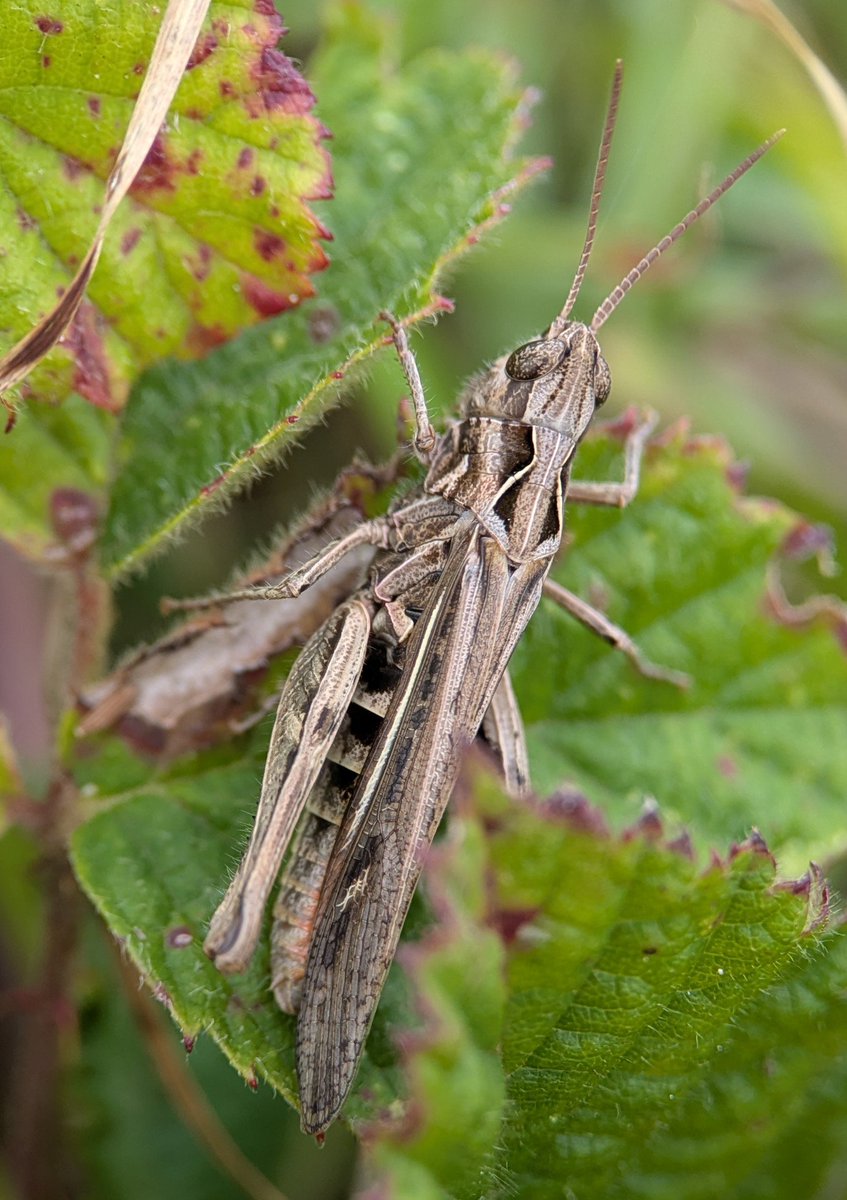 Caron Blay tweet media