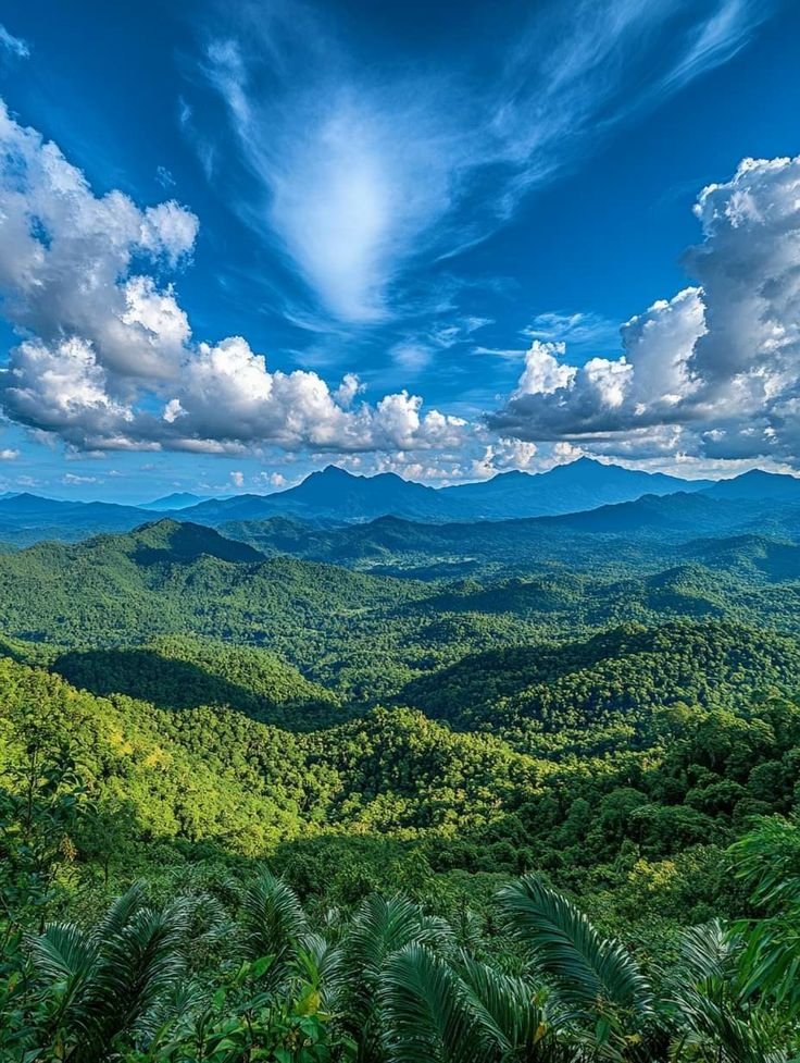 NaturePulseX's tweet image. 