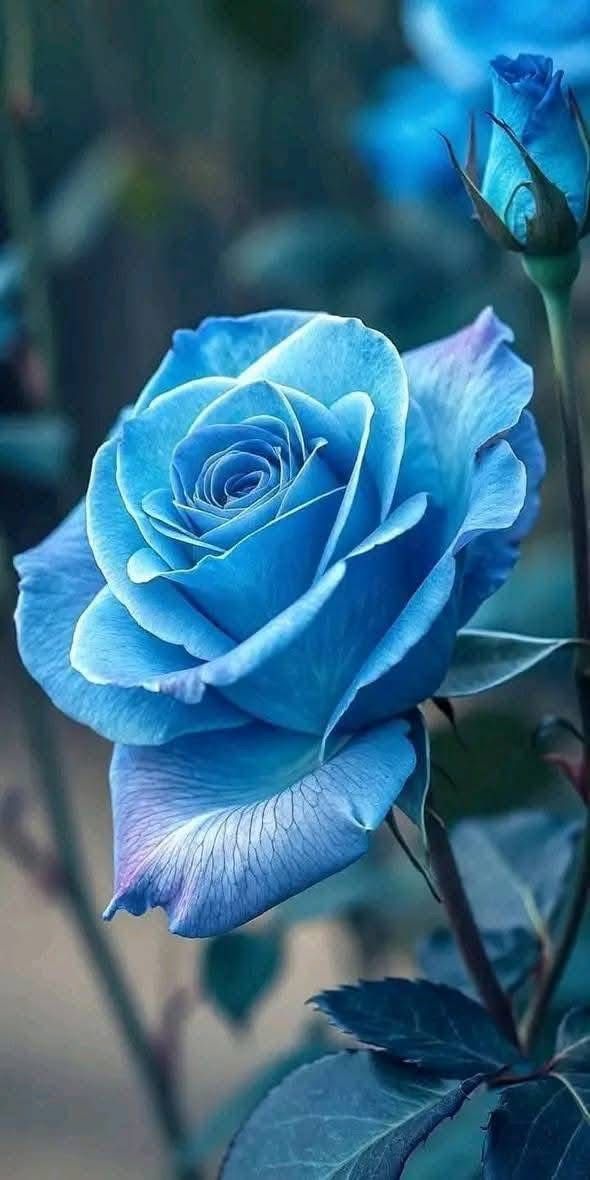 greenery897's tweet image. 