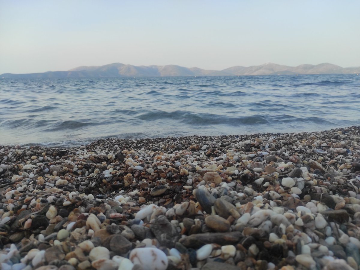 Fenia32663561's tweet image. 