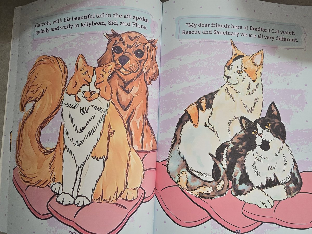 We are very excited to be launching the  online sales for THE FUNNY LOOKING CAT.
A book written by BRADFORD CAT WATCH RESCUE AND SANCTUARY,  for BRADFORD CAT WATCH RESCUE AND SANCTUARY to raise some much needed funds.
