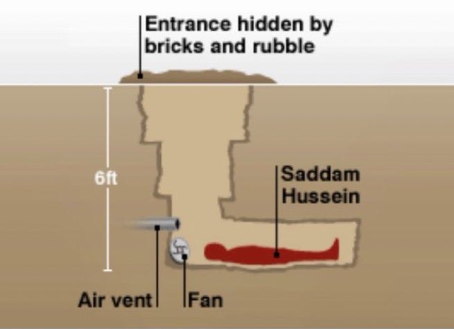 chucherk_oo's tweet image. why is my salmon lowkey serving saddam hussein hiding spot