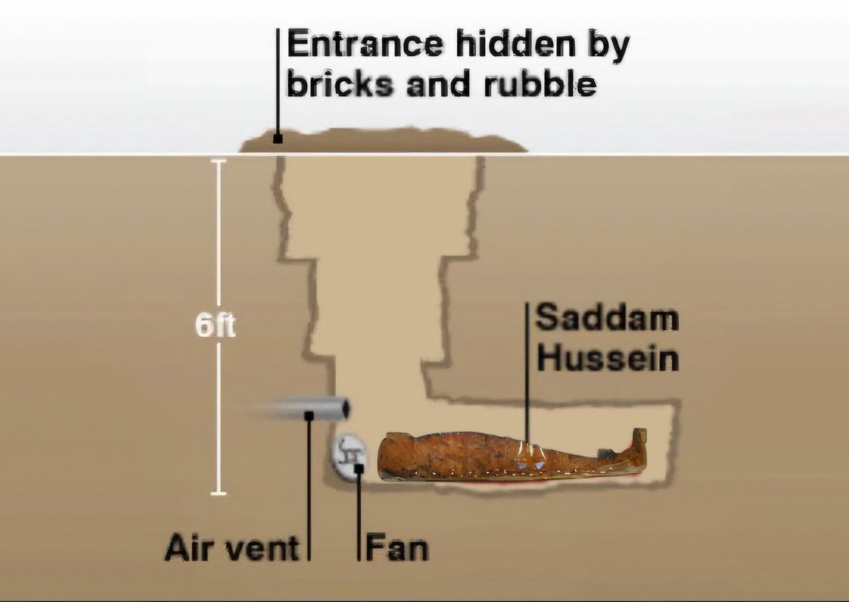 chucherk_oo's tweet image. why is my salmon lowkey serving saddam hussein hiding spot