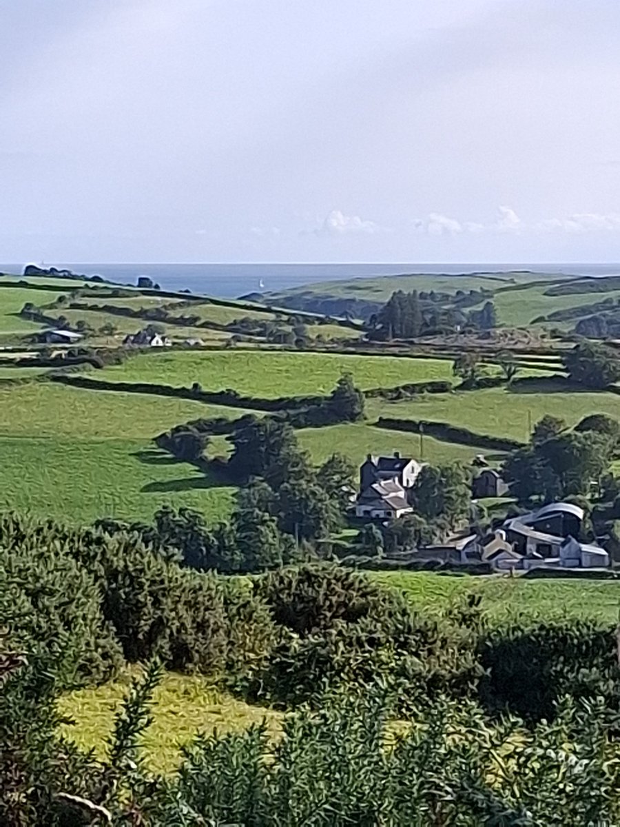 Joe Carty (@joecarty5) on Twitter photo 