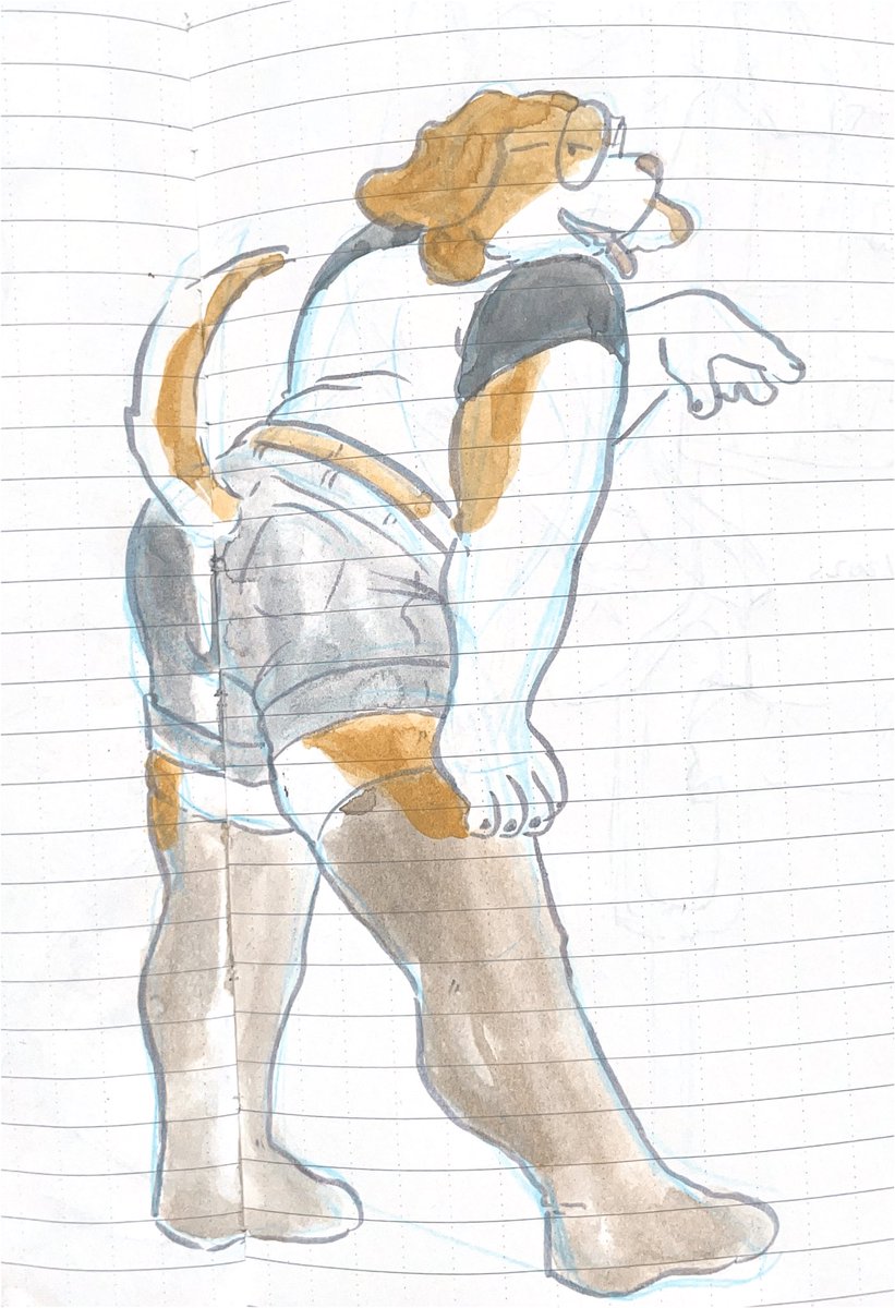 apollocored's tweet image. gay dog