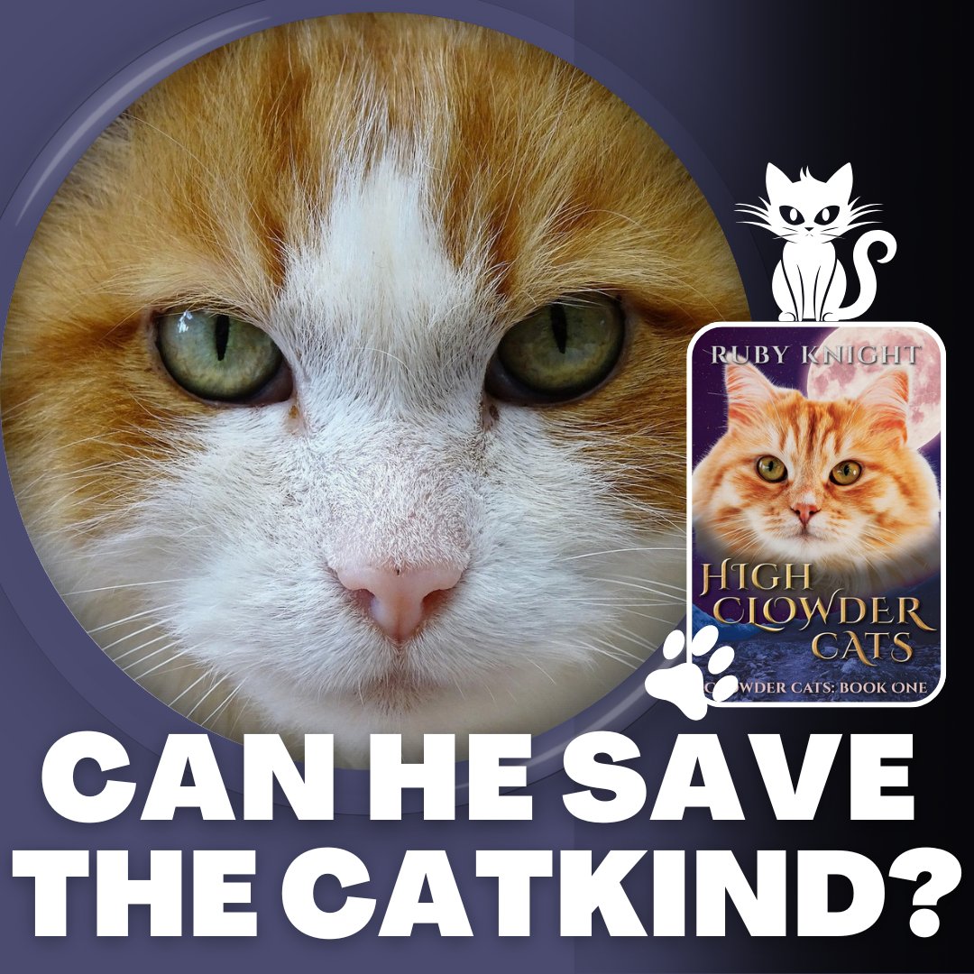 Bushytail leaves his childhood home in search of his own territory. His journey leads to amazing adventures. Can Bushytail save the catkind?

Read "High Clowder Cats" by Ruby Knight to find out:

forums.onlinebookclub.org/shelves/book.p…

Author: <a href="/Rubyclowdercats/">Ruby Knight</a>