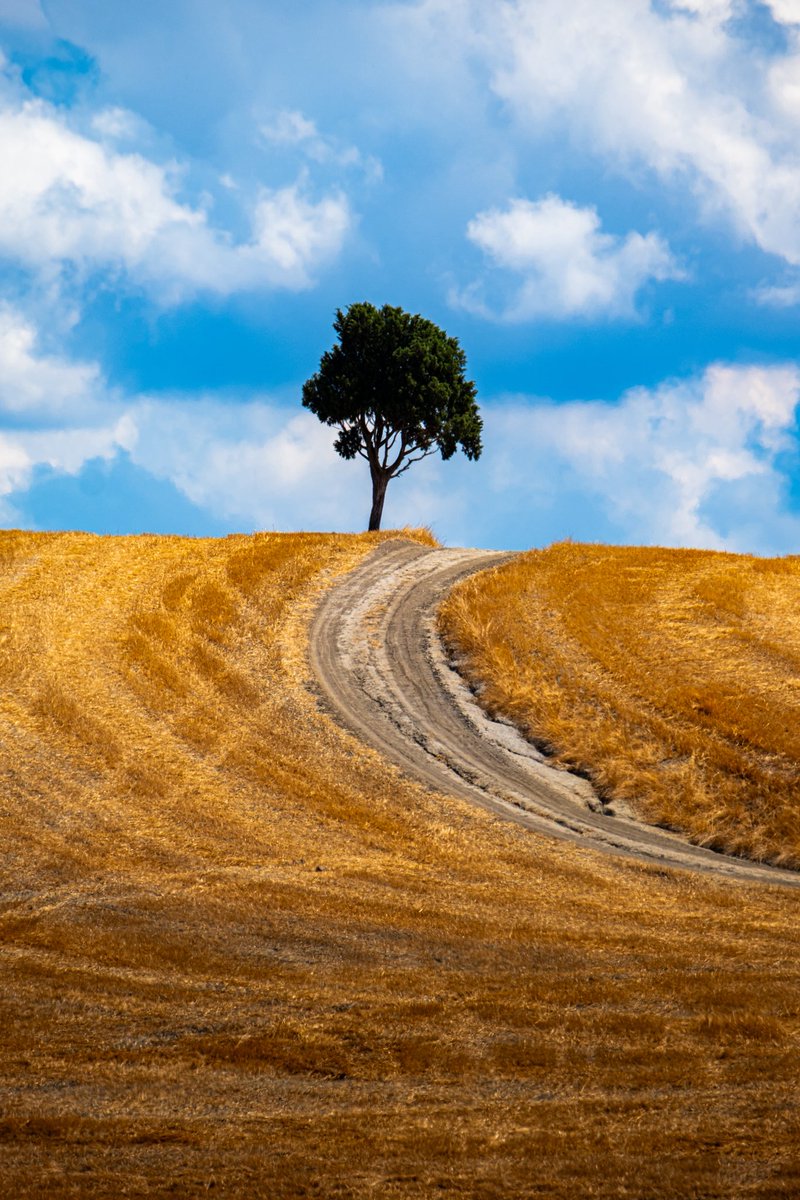 Nick Double tweet media