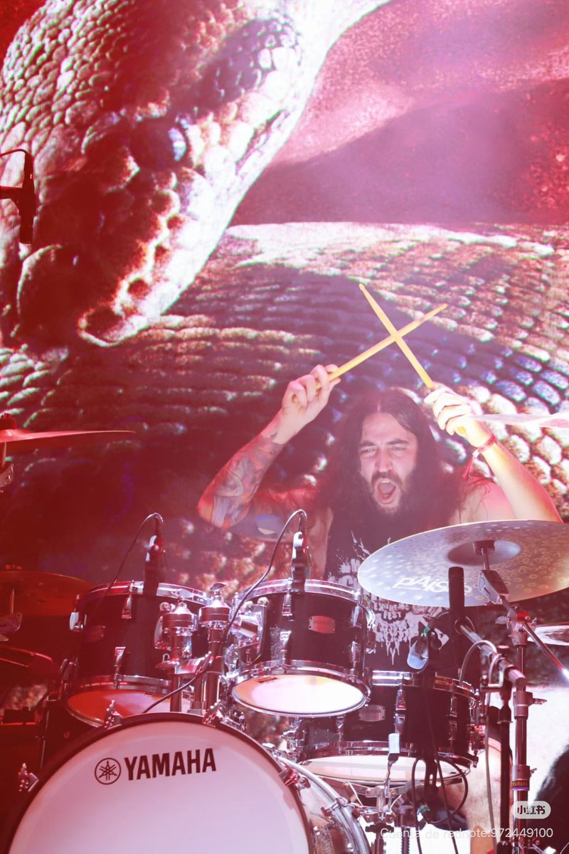 BLOODHUNTER (@bloodhunterband) on Twitter photo 📣 Fun fact: in the last 9 months we toured Asia twice! It was an incredible adventure that lead us to discover China, South Korea and Japan for the very first time 🇨🇳 🇰🇷 🇯🇵.
✈️ Which countries we should visit with our next album? Let us know in the quiz!
📸 by 望星者Stargazer. 📣 Fun fact: in the last 9 months we toured Asia twice! It was an incredible adventure that lead us to discover China, South Korea and Japan for the very first time 🇨🇳 🇰🇷 🇯🇵.
✈️ Which countries we should visit with our next album? Let us know in the quiz!
📸 by 望星者Stargazer.