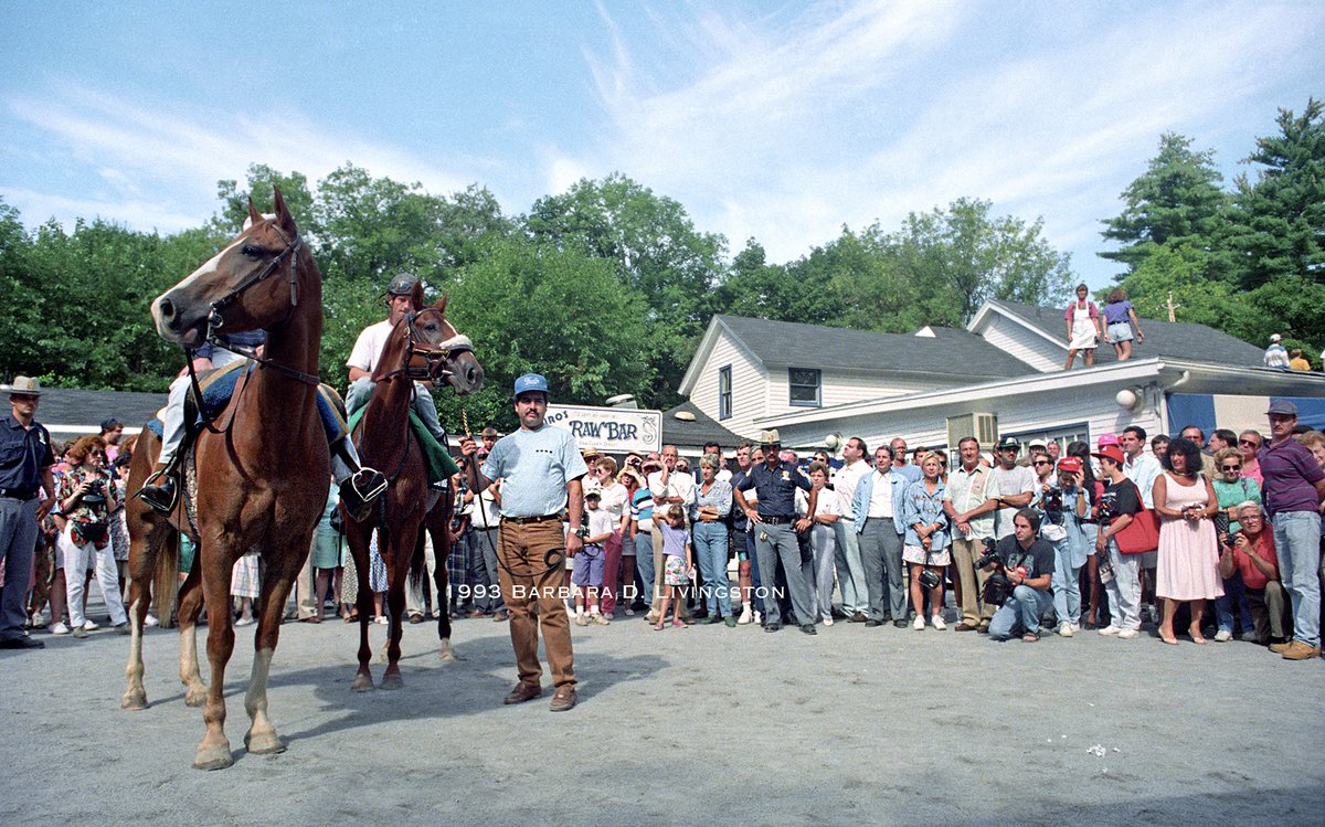 Barbara D. Livingston (@drflivingston) on Twitter photo Fourstardave appreciation day, Sunday, August 29, 1993
More than 200 fans showed up at Siro's that day to celebrate the remarkable Leo O'Brien-trained gelding who, by then, had won a race at Saratoga for the past 7 years.
'The Sultan of Saratoga' would add another win in 1994. Fourstardave appreciation day, Sunday, August 29, 1993
More than 200 fans showed up at Siro's that day to celebrate the remarkable Leo O'Brien-trained gelding who, by then, had won a race at Saratoga for the past 7 years.
'The Sultan of Saratoga' would add another win in 1994.