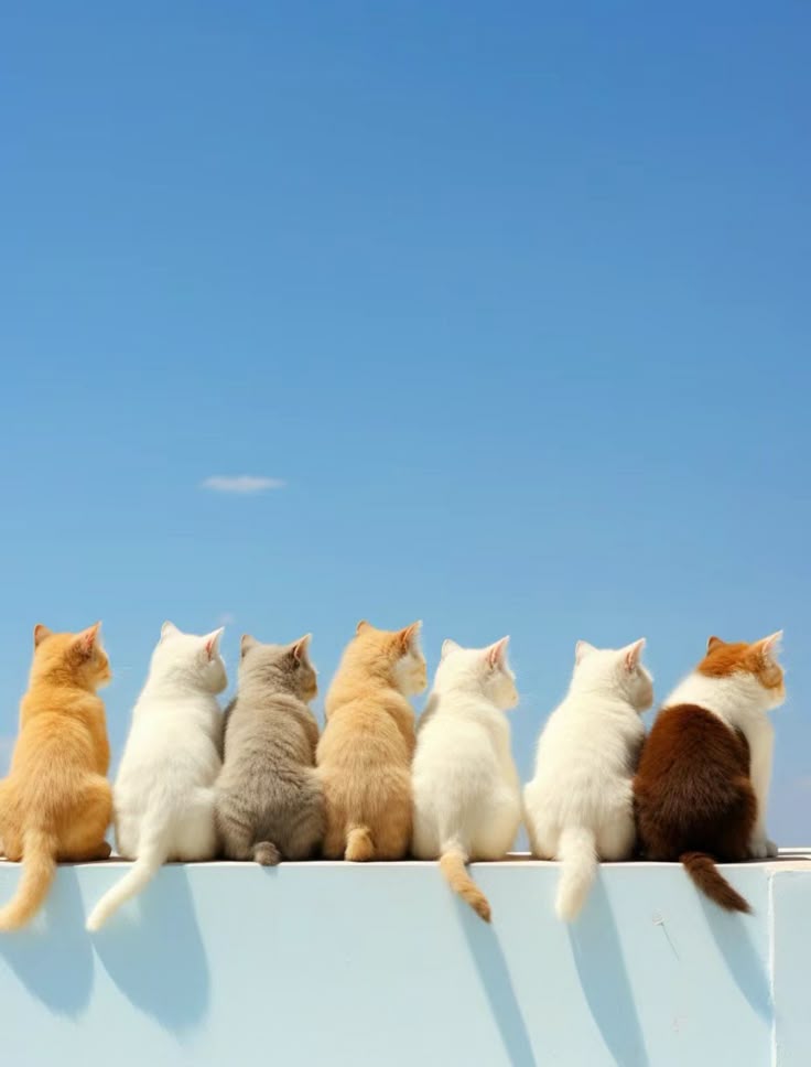 NaturePulseX's tweet image. 