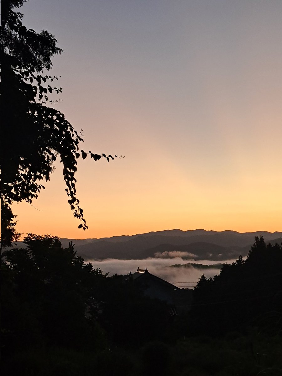 MitsuyaKohno's tweet image. おはようございます☀️😃❗
真夏の雲海を花桃の里よりお届けします😊
今日も暑くなりますが、はりきっていきましょう!😆👍️❤️