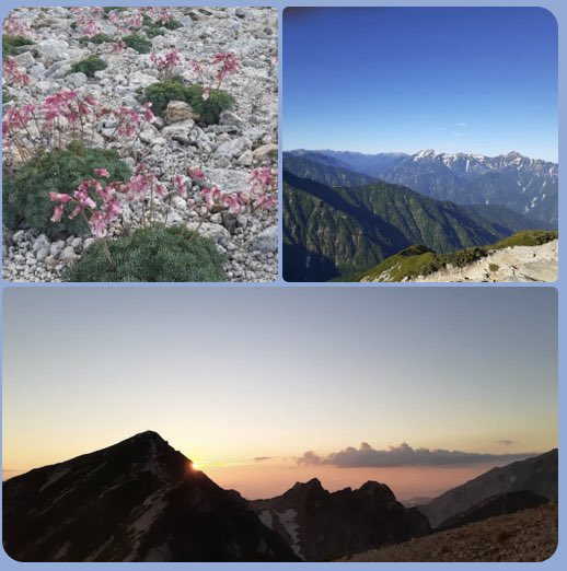 mimozaTokyo's tweet image. 仲良しショウ子さんからです。
おはようございます
2700mの唐松岳へこの2年山頂まで登る事なかったのですが山荘へ1泊し夕陽が落ちる景色と高山植物も堪能してきました
4時半から朝陽を拝み最近稀にみる山々がくっきりと。剱岳を始め白馬、妙高、八ヶ岳、富士と360度の山並みを見ることができ感激でした
