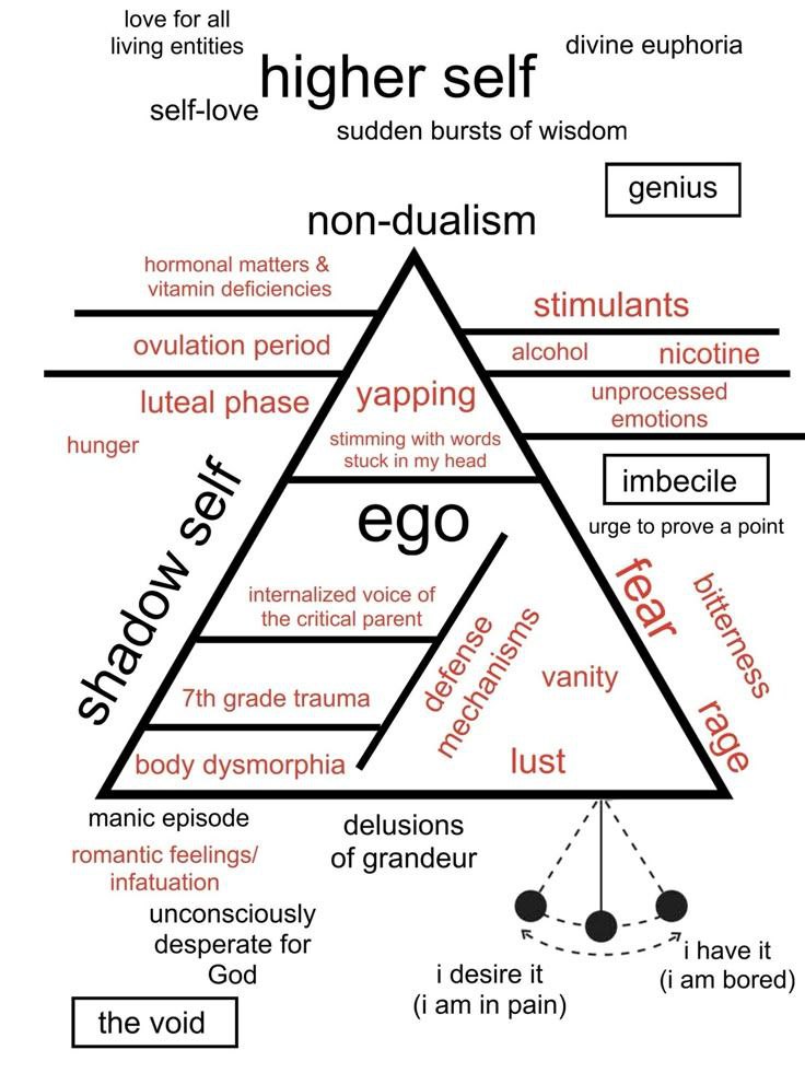 davidvibesonly's tweet image. hm