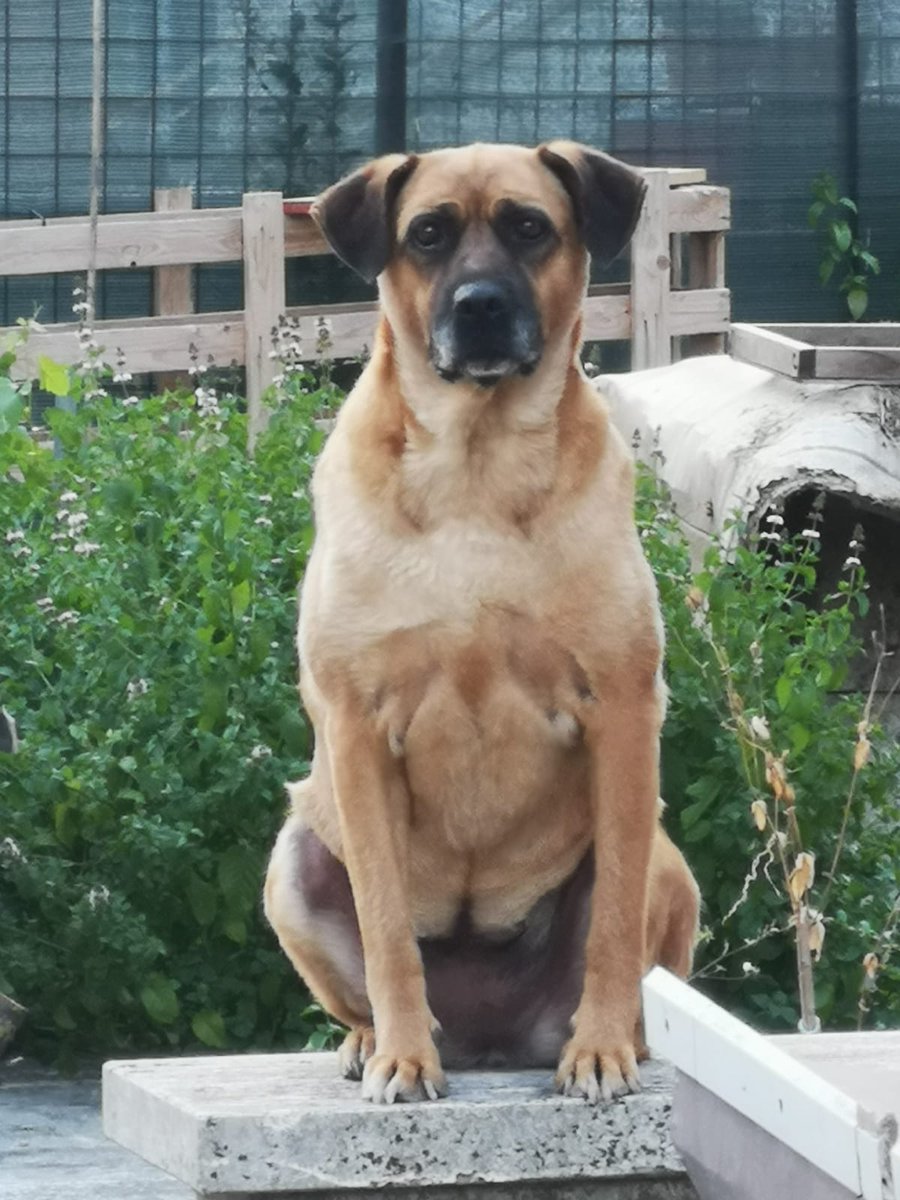 Il mio angelo una ragazza molto affettuosa