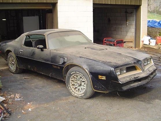 RandyDa25687858's tweet image. *
* *
Would you haul it home ? ? ?  🤔

&apos;:,*,:&apos;     🧐