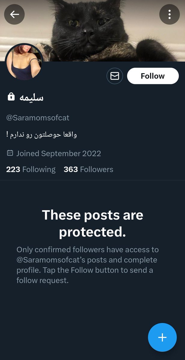 parsa_ma's tweet image. واقعاً اوضاع دسترسیها و امنیت توییتر خوب نیست.
این خانم رو من دنبال نمیکنم. اما توییتش رو تو تایملاینم دیدم! خب این چه وضعشه آخه؟
پینوشت: عکس و متن اون توییت رو عمداً تار کردم. انتخاب صاب توییت این بوده که فقط دنبالکنندههای خودش ببینند.