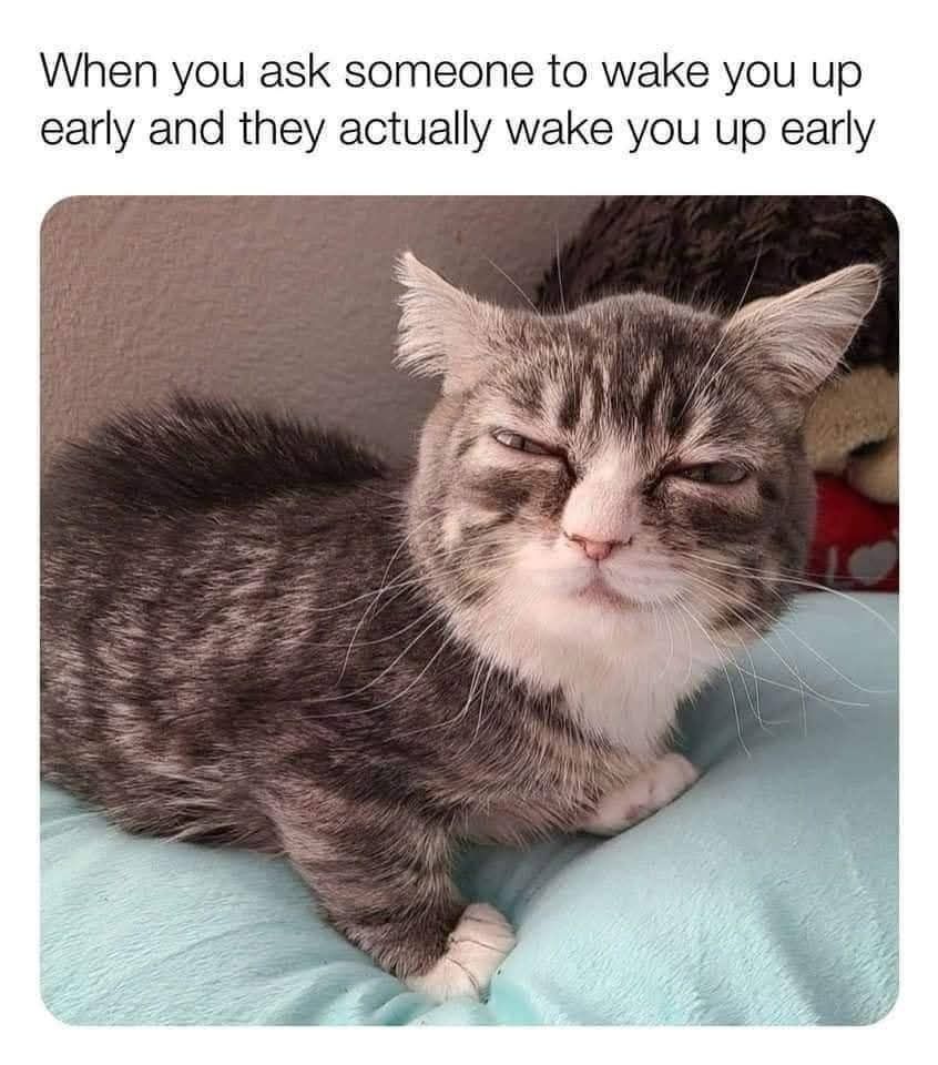 Whyyyy