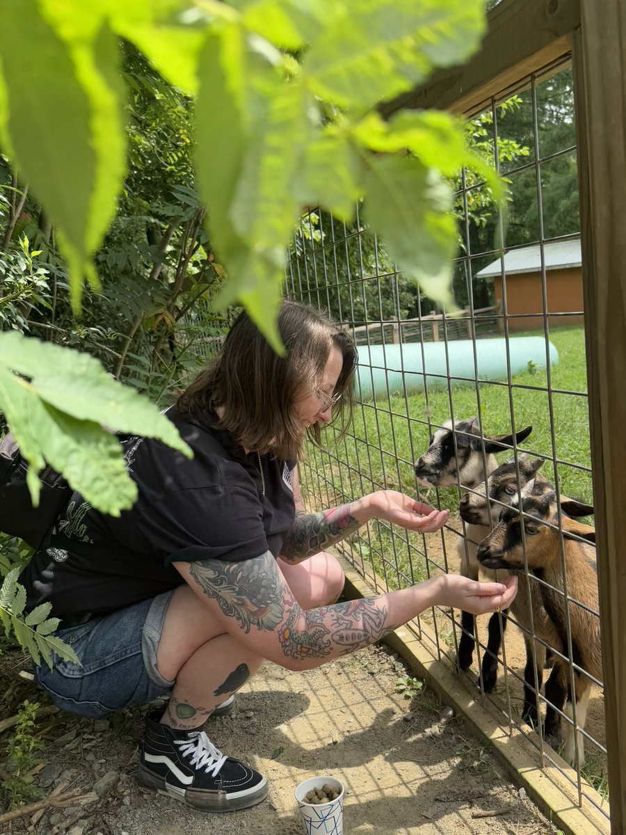lsdcuredme's tweet image. made friends with the 3 sweet peas