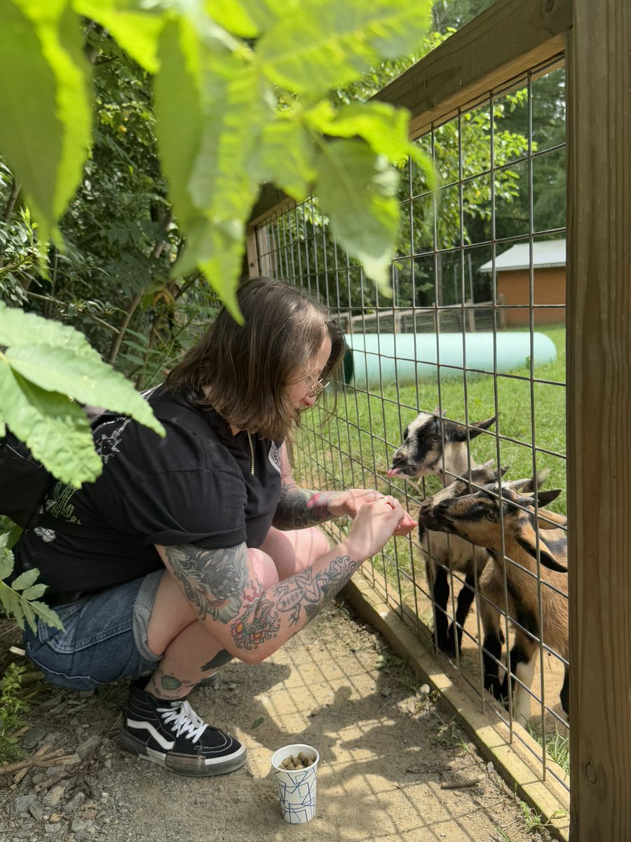 lsdcuredme's tweet image. made friends with the 3 sweet peas