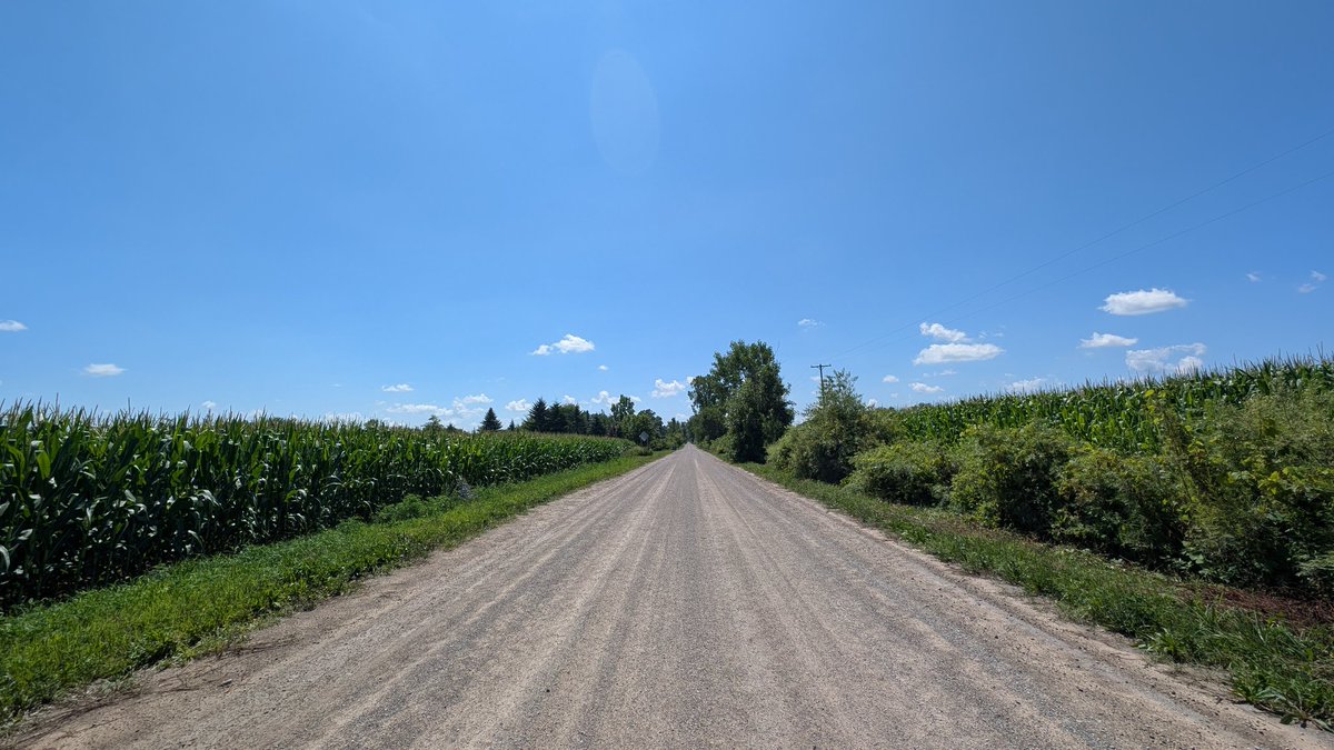 MichaeLeoRising's tweet image. Backroads ☀️🌽😎