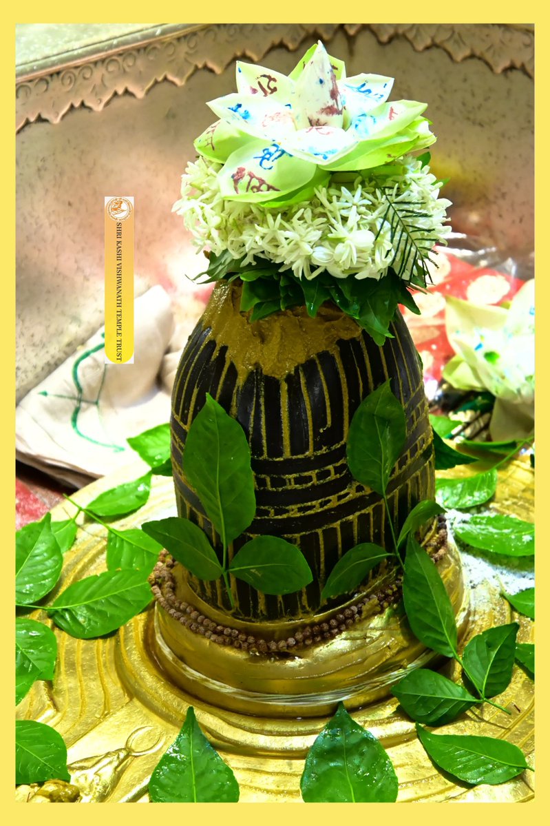 ShriVishwanath's tweet image. आज श्री काशी विश्वनाथ जी की श्रृंगार आरती I
#kashivishwanath #kashi #sanatandharma #banaras