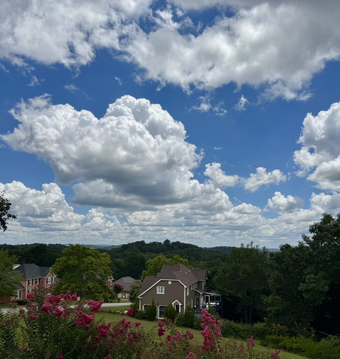 ashleyschendelx's tweet image. The sky&apos;s an endless art gallery &amp;amp; clouds are nature&apos;s daily masterpiece. 

Been obsessed with clouds since I was a kid laying in grass, finding dragons &amp;amp; unicorns in the shapes.

I see a hog in this one.

Drop your best cloud pics below… let&apos;s see what magic you&apos;ve captured in…