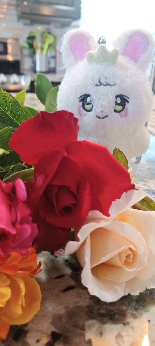 Sta4Linc's tweet photo. Sunday Funday... soaking up the sun and enjoying the day before traveling!โ๏ธโ๏ธ Missing Eunbining...๐ฉท๐
#๋ฐ์๋น #parkeunbin #bining
#flowerbin #sundayfunday https://t.co/RQylnF0HGJ