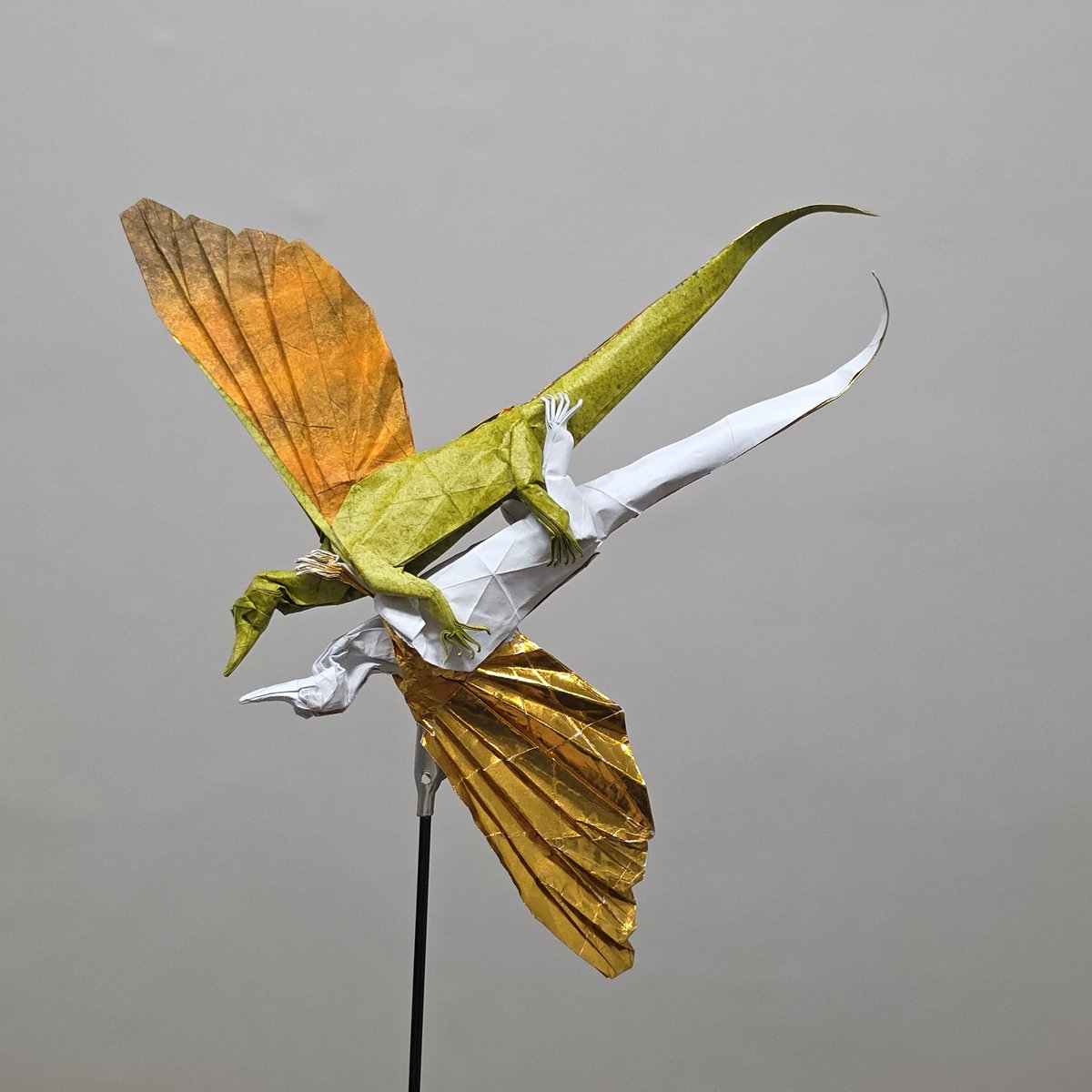 문용준/Yongjoon Moon (@colacanth1) on Twitter photo 