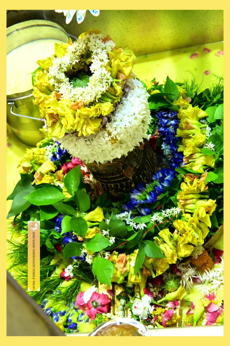 ShriVishwanath's tweet image. आज श्री काशी विश्वनाथ जी की सप्तऋषि आरती I
#kashivishwanath #kashi #sanatandharma #banaras