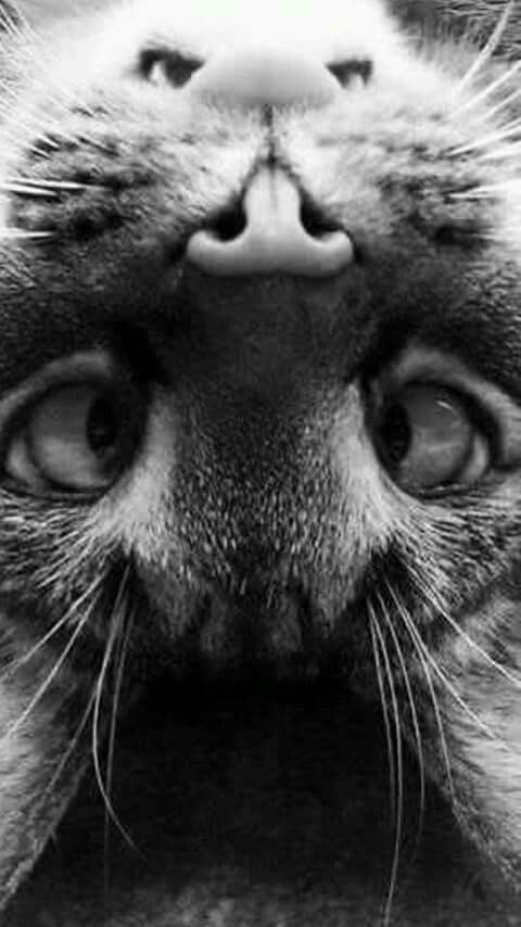 odin866's tweet image. Sup