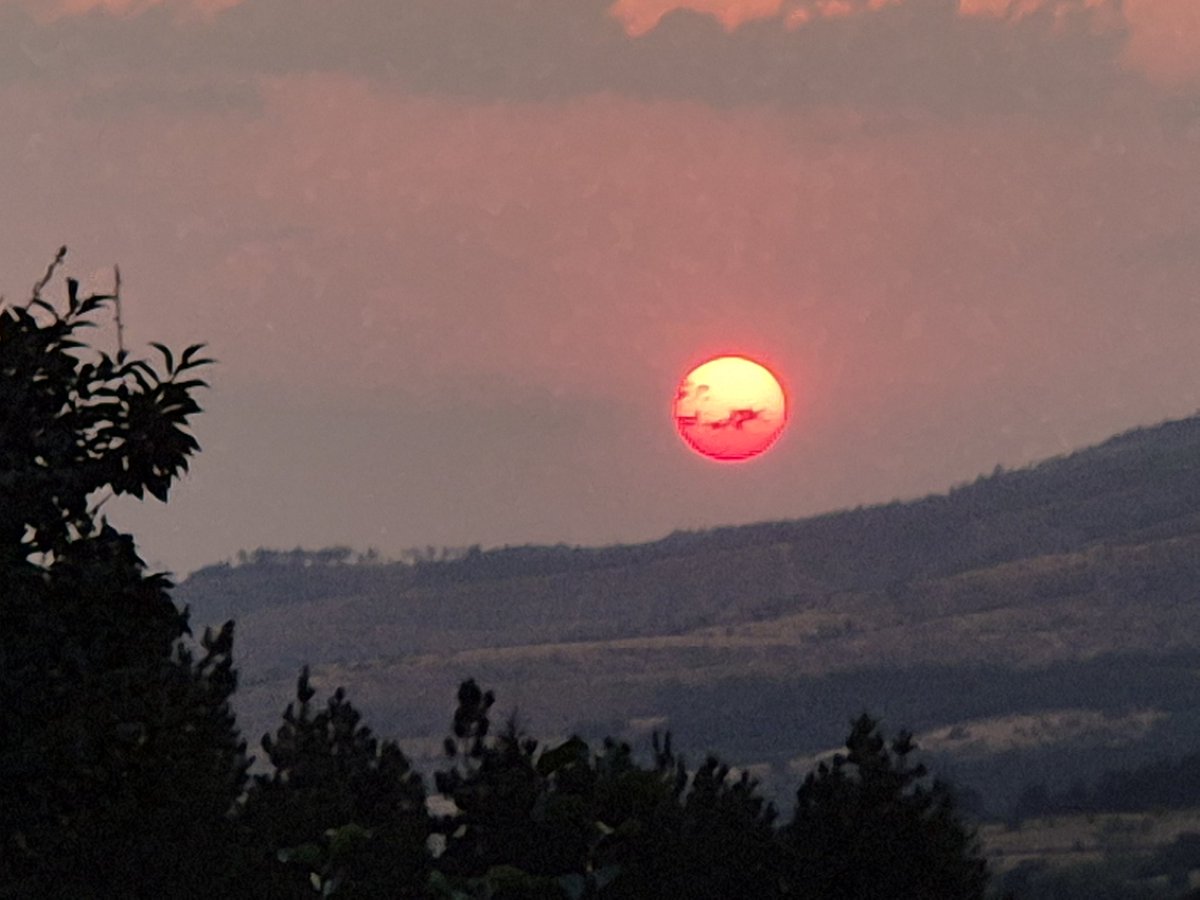 Знамето ни е такво какво што е токму заради ова.👇