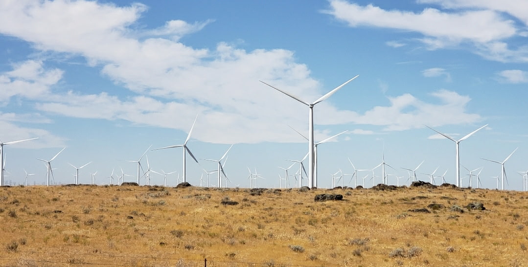 Free Oregon tweet media