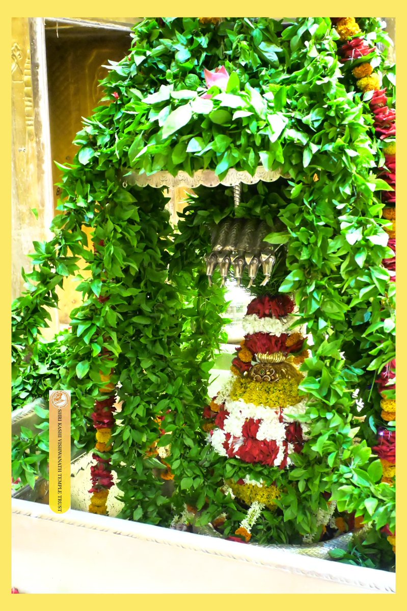 ShriVishwanath's tweet image. आज श्री काशी विश्वनाथ जी की शयन आरती I
#kashivishwanath #kashi #sanatandharma #banaras