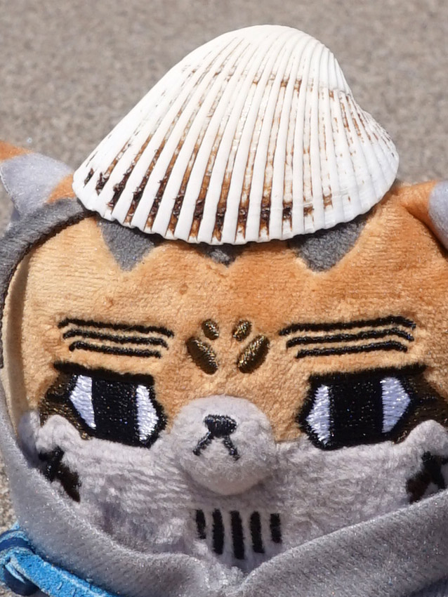 ymahkamui's tweet image. 😼どんなもんだい
#フォゼ尾といっしょ
