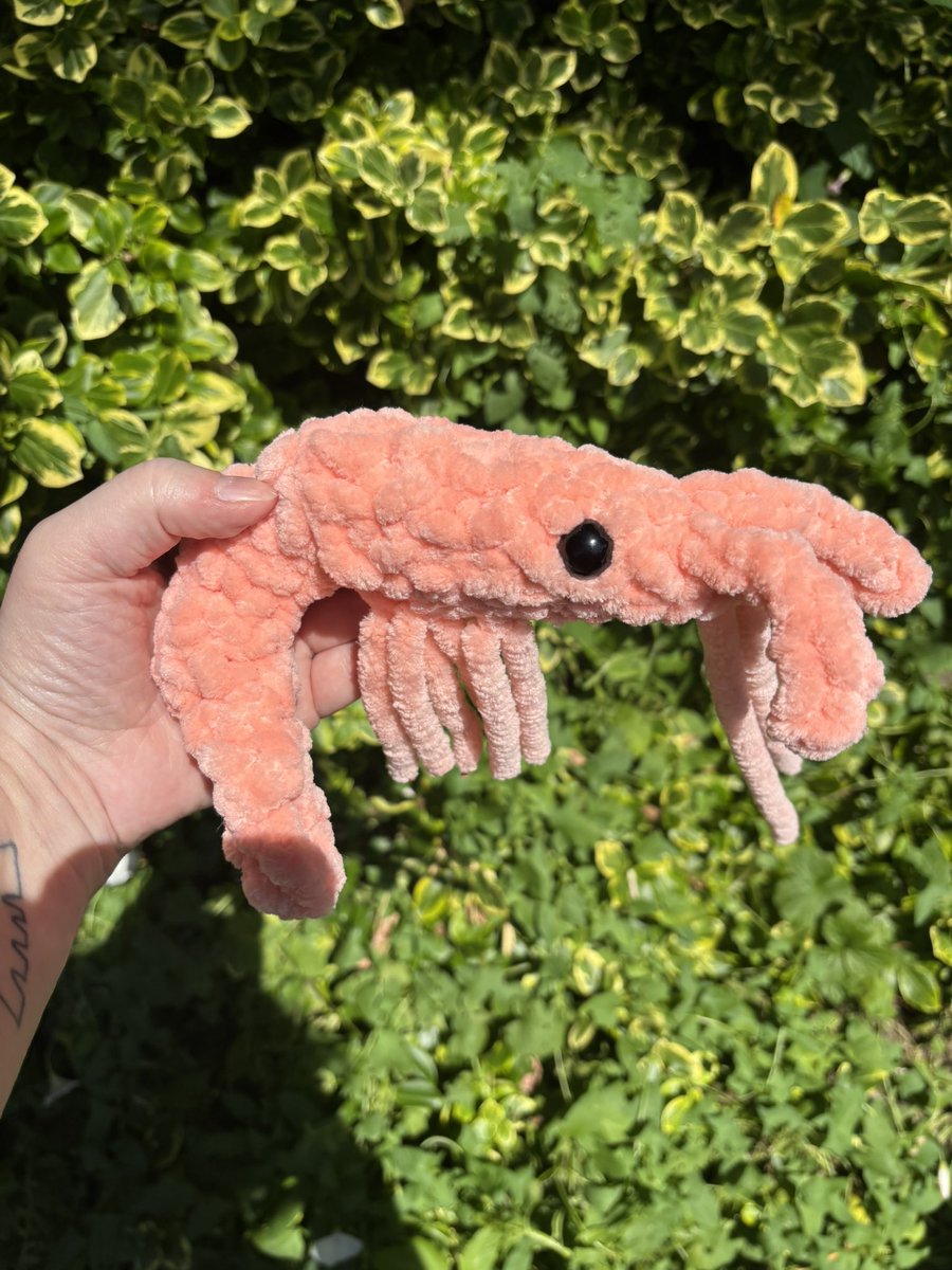Sometimes you have two hours until you have to leave to meet some friends and you come up with an idea of something to make for that friend… and an hour later you have a shrimp! #crochet