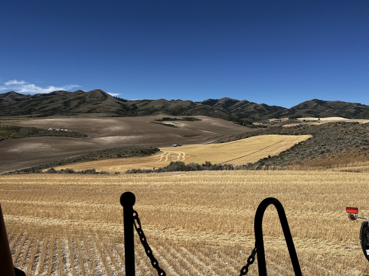 dustfrmer's tweet image. Do any other farm owners give all the harvest help Sundays off and just enjoy the peace and solitude of solo cutting.
Helps me remember what I love about this life. More gratitude and thankfulness than a church pew would give me.