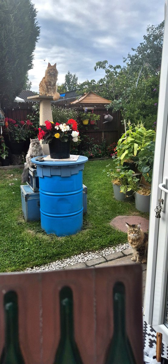 The Frontline has been delivered.