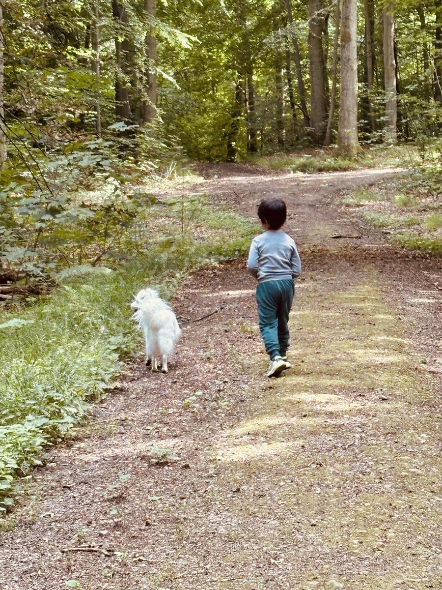 toocoolfornft's tweet image. This picture is magic. It’s my little boy walking my BFs dog. 3 months ago we moved to the countryside so we could all live together.
My son has infantile autism so all changes and every day tasks are a challenge to him. But moving here has given him a calm I have never seen in…