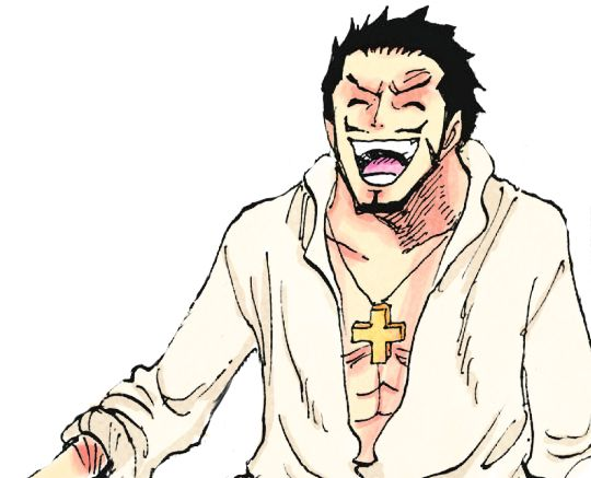 Mihawk's little Capri-Sun 🧃⚔️🐦 (@swordsbird) on Twitter photo 