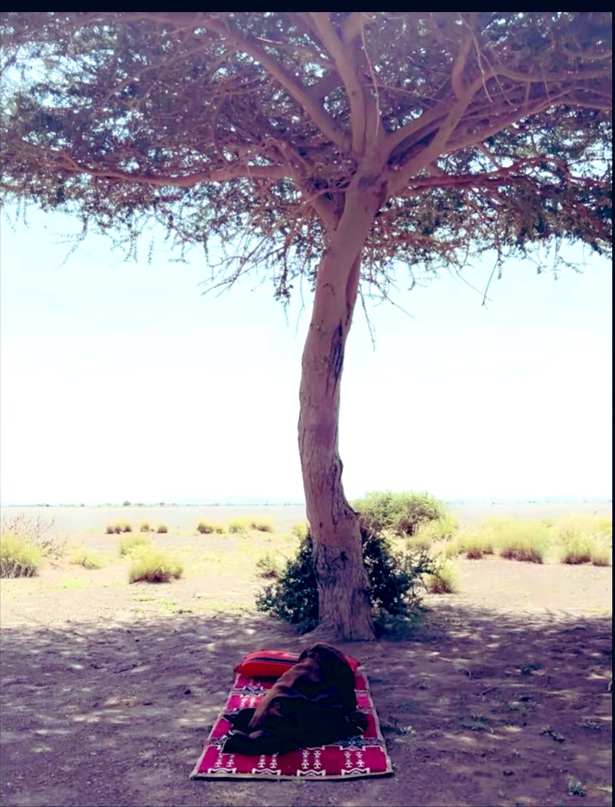 ABDUL33A's tweet photo. غصنٍ شتاء وقته   يسابق خريفه
ما تستظل  بشجرته غير بلحاف
  تلعب به النسمه   خفيفه   لطيفه
 كن الشتاء ��اقي من العام ماطاف ! https://t.co/SDtugwcqST