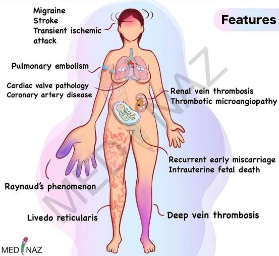 modernHealthMe's tweet image. Diagnosis?