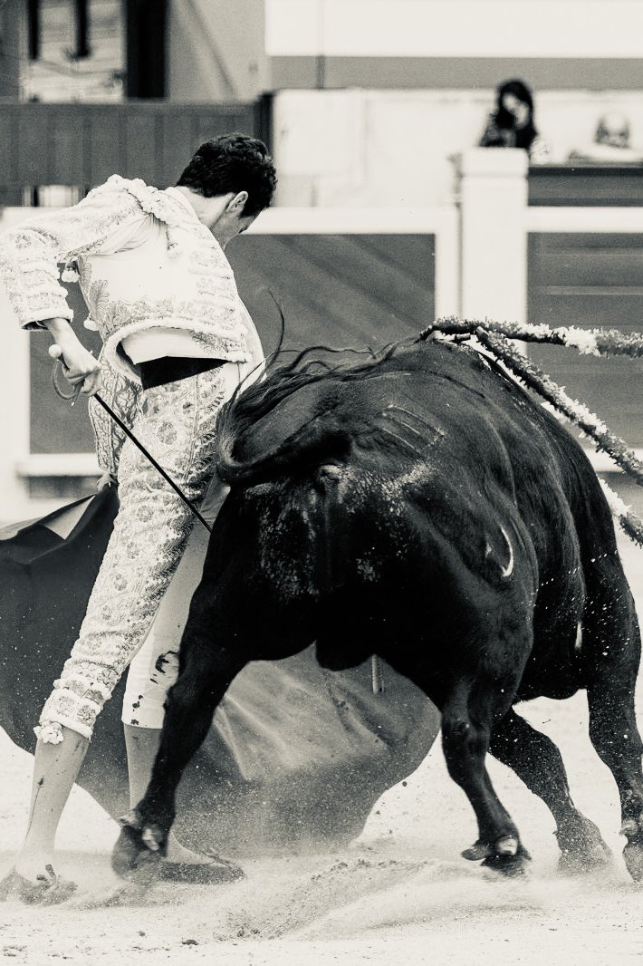 jorgemolinaa's tweet photo. 🖤🤍 https://t.co/b9PCQ6ZKHR