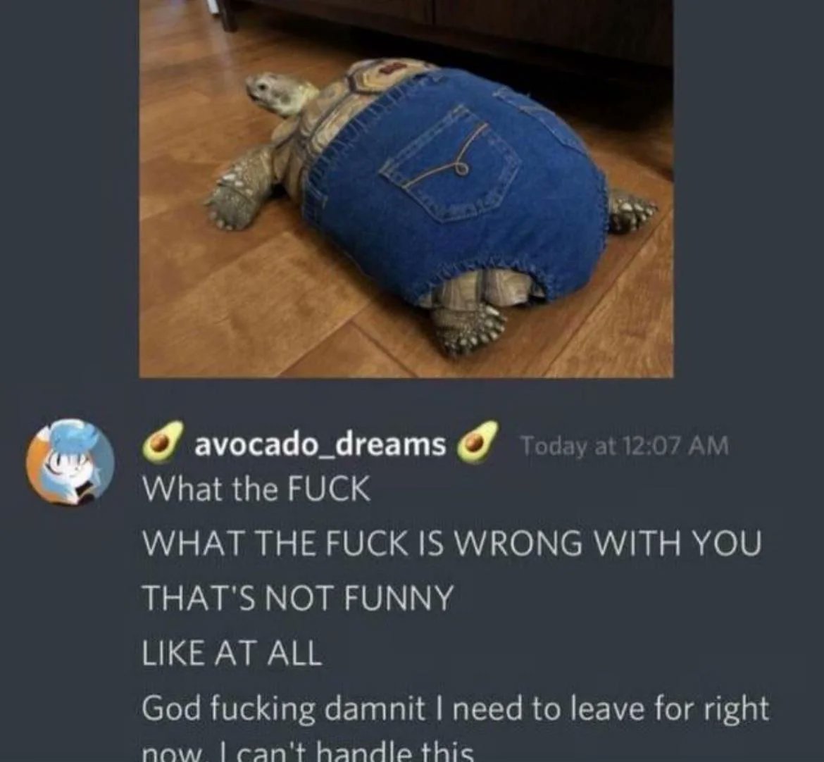 AI Artist from Israel (Comms Open) tweet media