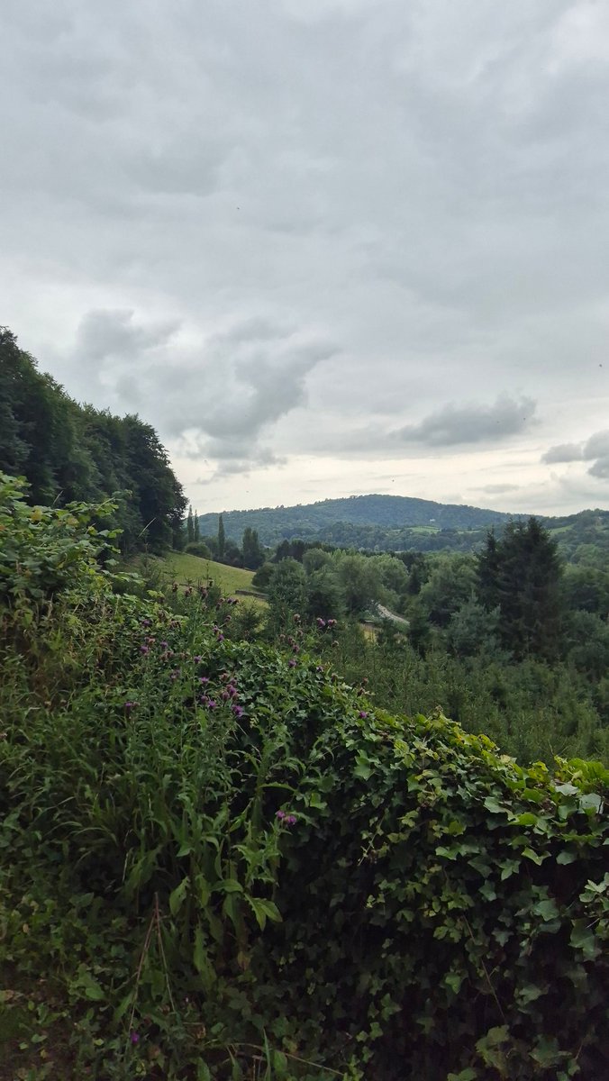 DerbyshireYcl's tweet image. On 26 July, local YCLers hiked around Cromford to mark the Cuban revolution, raising £600+ for @cubasolidarity’s medical aid—speaking with many supportive locals. Derbyshire stands with Cuba against US oppression. 🚩🇨🇺🏴🐏
Want to join hikes for progressive causes? Message us!