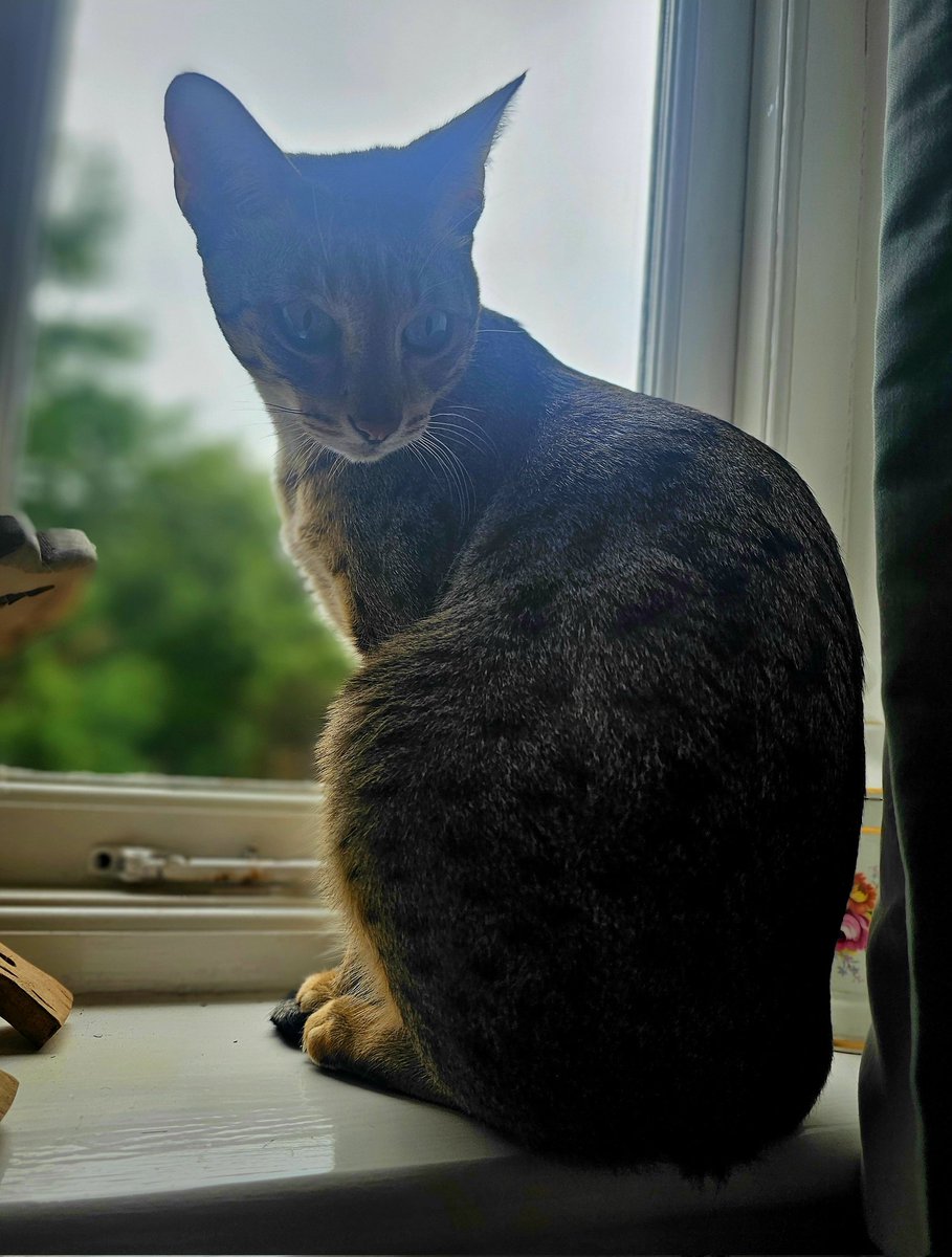MumbrianSpinner's tweet image. Still at ma's. I've been knocking my pan in cleaning and shopping today. They have a cleaner. Apparently, cleaning isn't her forte π€¦ββοΈ