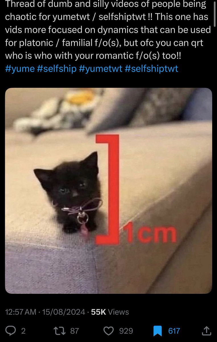 KAENCOLE's tweet image. Ok hi yumetwt selfshiptwt idk if anyone remembers these but I’m making a new one it’s just a thread of tt vids of couples or ppl being cute or doing stupid shit and you qrt or rt ones that are you and your f/o or s/o