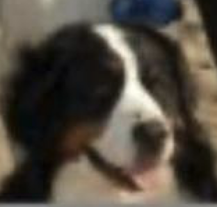 . @LEXAPROTRADER EXPOSED COKEHEAD CONMAN ON HIS FINAL RUG PULL SPEEDRUN

CHARLIE AKA @LEXAPROTRADER IS A CRIMINAL, SOCIOPATH, LIAR, AND DRUG ADDICT (YES, HE DOES CRACK COCAINE).

AFTER A STRING OF RUGS, HIS LATEST SCAM $NEOGOD SAYS IT ALL. HE HIRED A TEAM FOR IT, RUGGED THE COIN